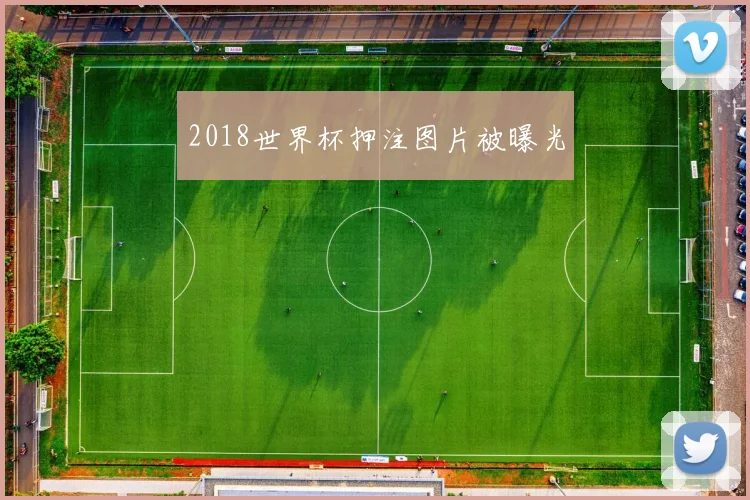 2018世界杯押注图片被曝光