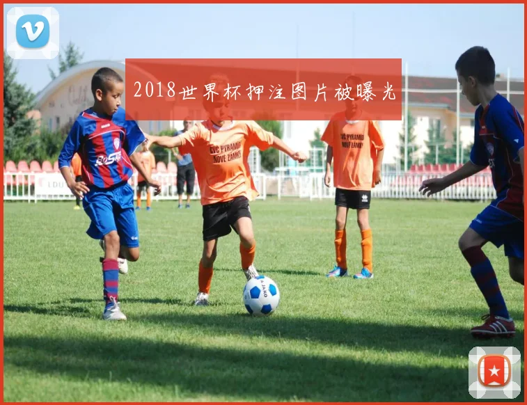 2018世界杯押注图片被曝光