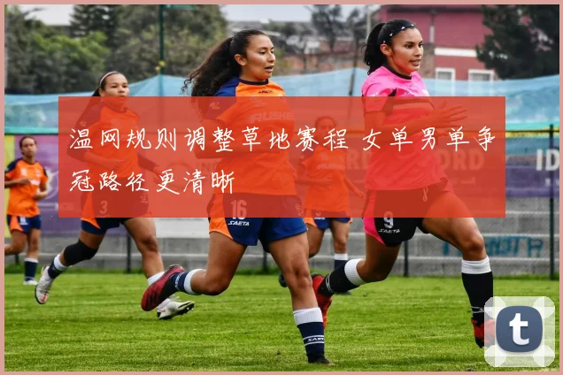 温网规则调整草地赛程 女单男单争冠路径更清晰