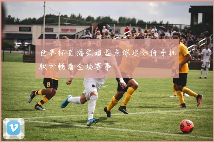 世界杯直播渠道盘点球迷如何手机软件畅看全场赛事