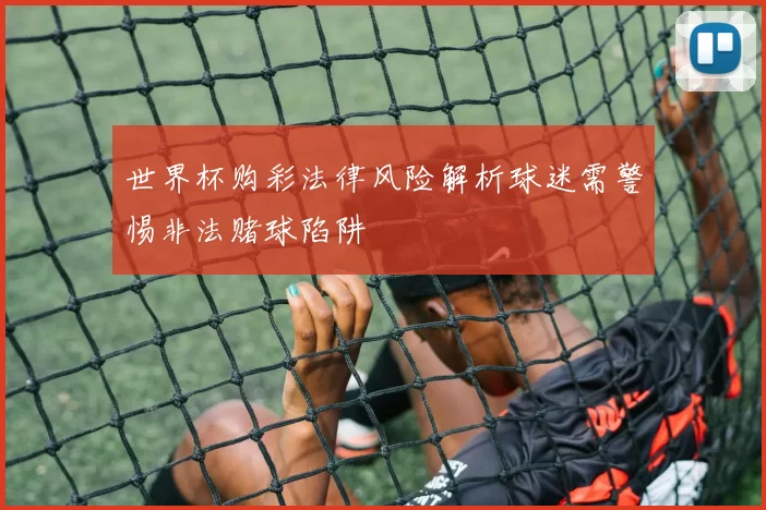 世界杯购彩法律风险解析球迷需警惕非法赌球陷阱